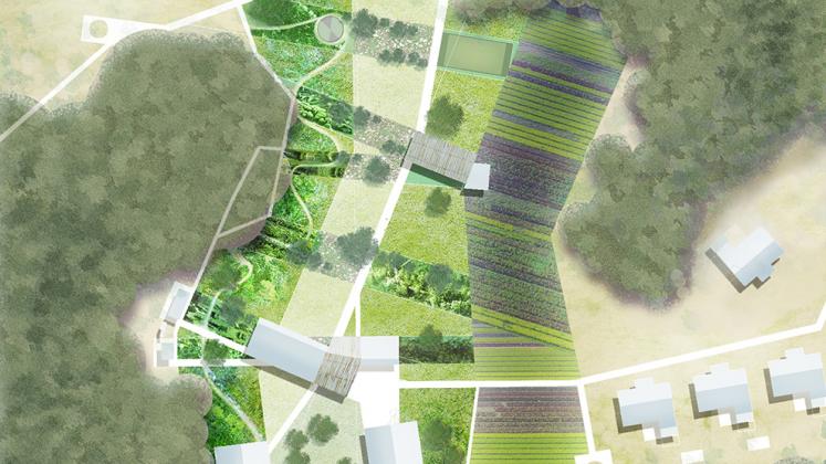 Rendering of Lupani African Conservation School, Site and masterplan