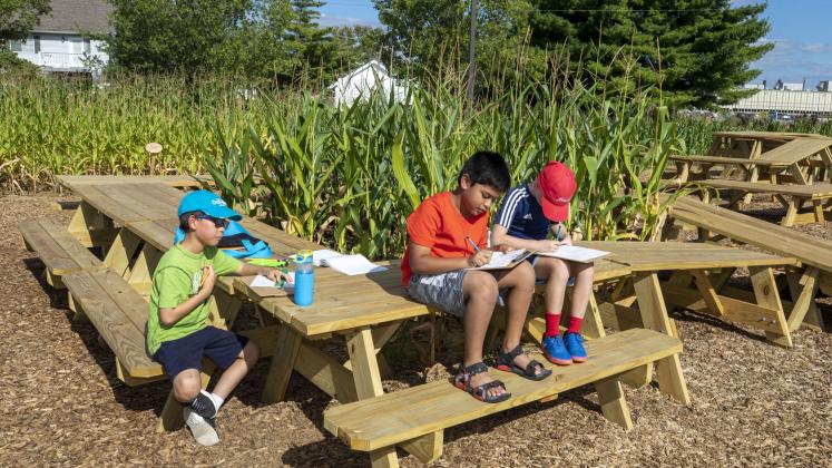 Children from Central Middle School working at a picnic table in our Corn / Meal installation